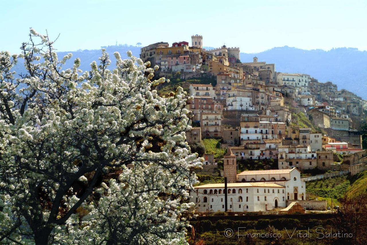 Apeiron Bed and Breakfast Corigliano Calabro Buitenkant foto